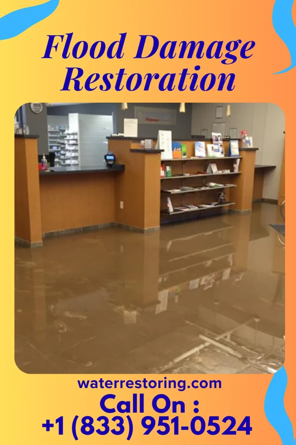 Flood Damage Restoration in La Grange, TN