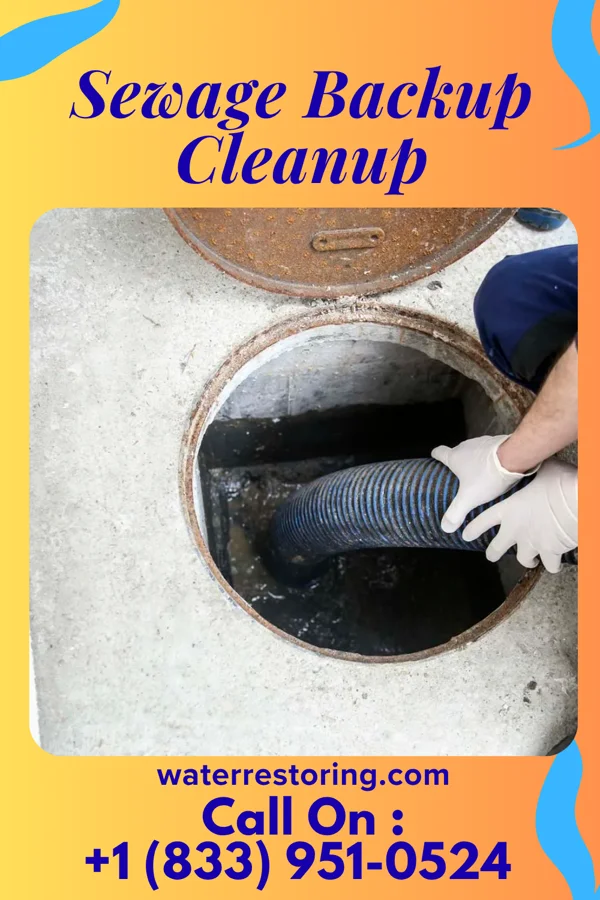 Sewage Backup Cleanup in La Grange, TN