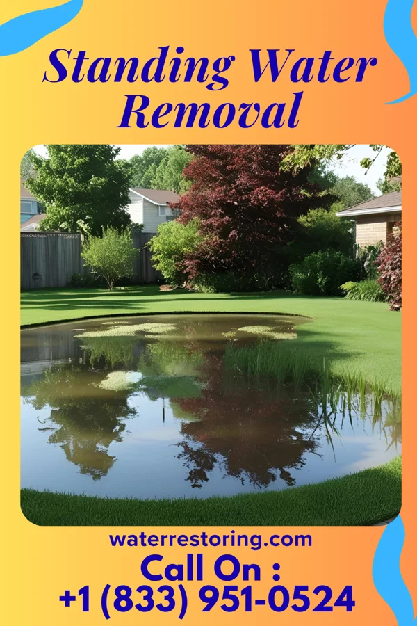 Standing Water Removal in La Grange, TN